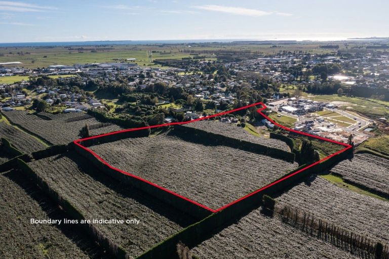 Photo of property in 81 Dunlop Road, Te Puke, 3119