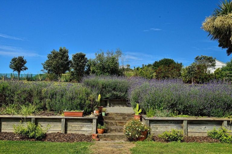 Photo of property in 225 Mahia East Coast Road, Mahia, 4198