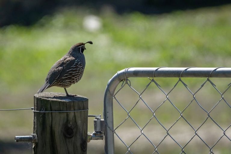 Photo of property in 333 Beacon Point Road, Wanaka, 9305