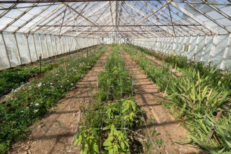 Photo of property in 94 Thews Road, Tinwald, Ashburton, 7778