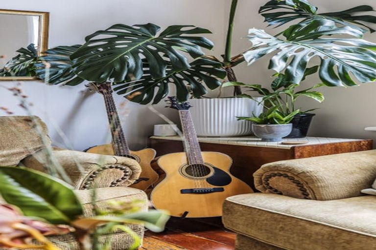 Photo of property in 95 Te Wharepouri Street, Berhampore, Wellington, 6023