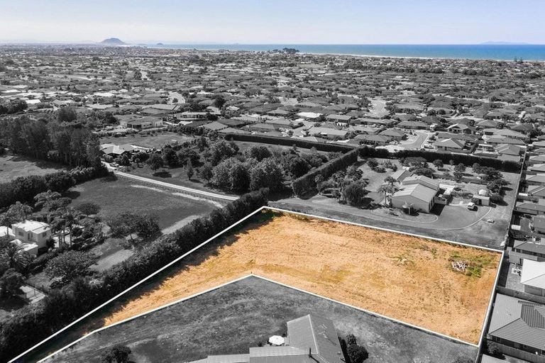 Photo of property in 104 Tara Road, Papamoa Beach, Papamoa, 3187