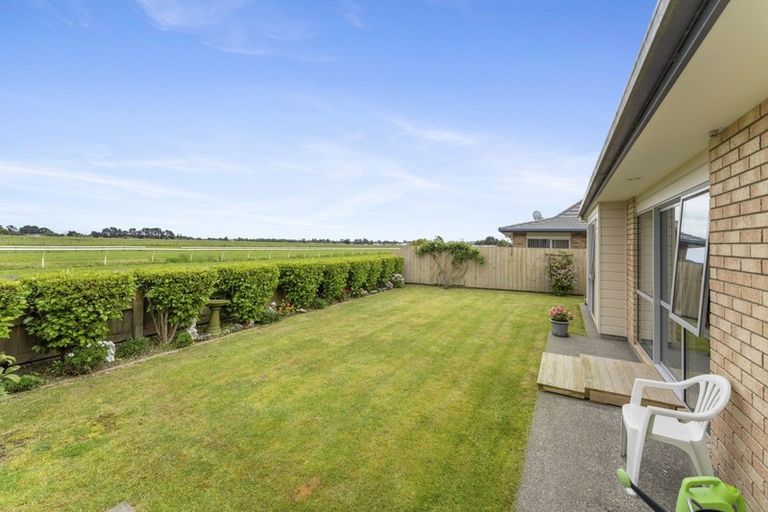 Photo of property in Trackside Villas, 7/91 Mako Mako Road, Levin, 5510