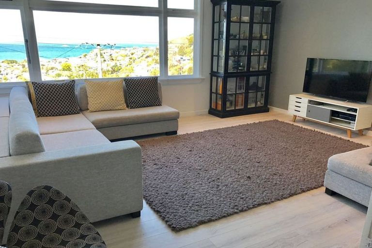 Photo of property in 14 Coney Hill Road, Saint Clair, Dunedin, 9012