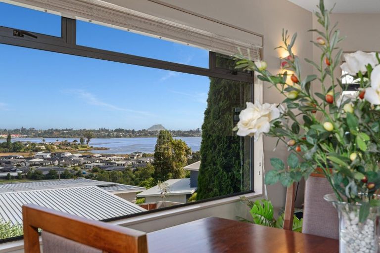 Photo of property in 115 Sapphire Drive, Hairini, Tauranga, 3112