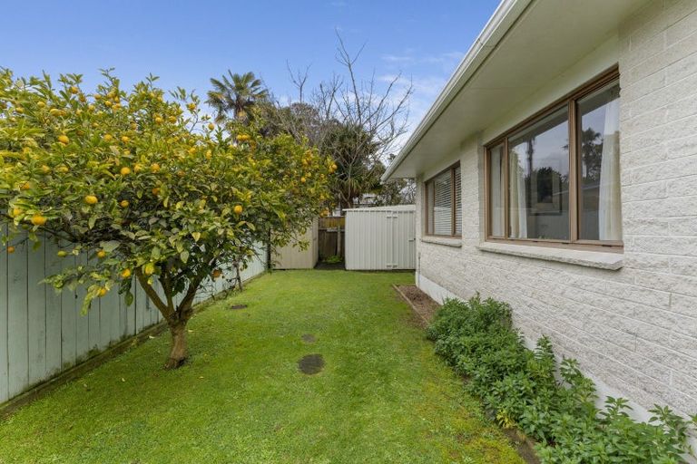 Photo of property in 39a Macarthur Street, Levin, 5510
