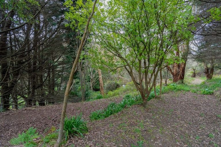 Photo of property in 86 Lindsay Road, Levin, 5510