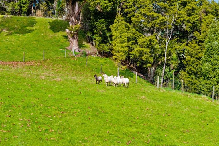 Photo of property in 50 Waitoki Road, Waitoki, Kaukapakapa, 0871