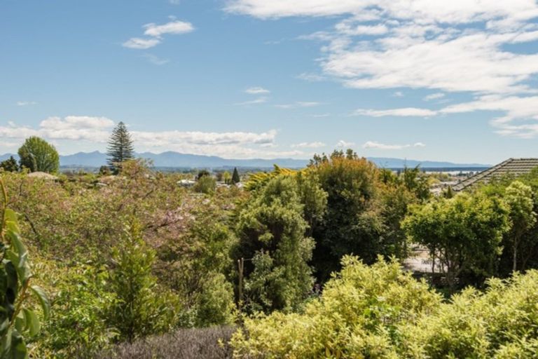 Photo of property in 20 Blair Terrace, Richmond, 7020