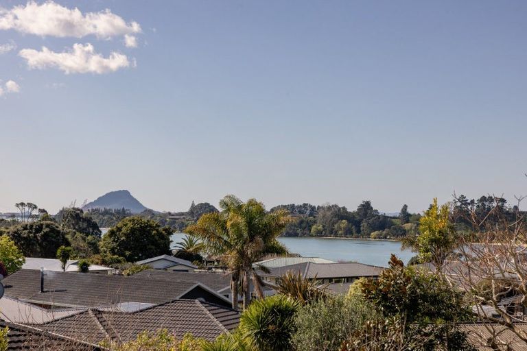 Photo of property in 16 Maihi Crescent, Maungatapu, Tauranga, 3112