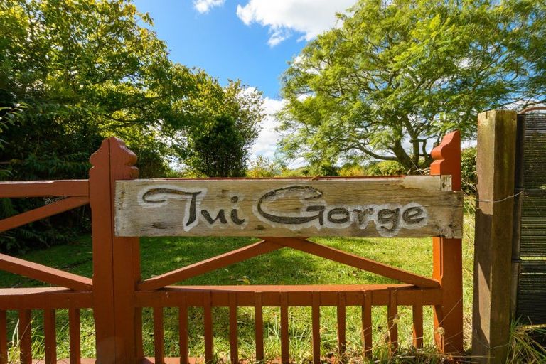 Photo of property in 45 Oropi Gorge Road, Pyes Pa, Tauranga, 3173