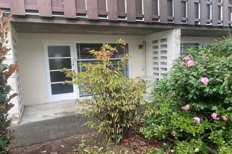 Photo of property in 9 Esplanade Road, Mount Eden, Auckland, 1024