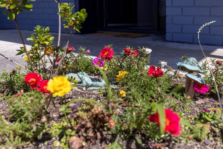 Photo of property in 2 Kanawa Street, Waikanae, 5036