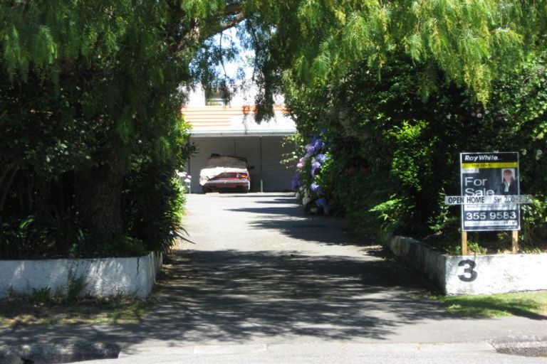 Photo of property in 1/3 Repton Street, Merivale, Christchurch, 8014