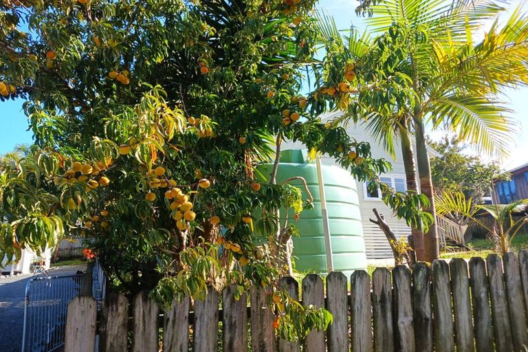 Photo of property in 4 Seascape Lane, Coopers Beach, 0420