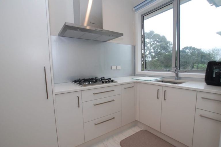Photo of property in 59 Bernard Magnus Lane, Greenhithe, Auckland, 0632