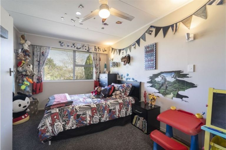 Photo of property in 16 Plunket Street, Solway, Masterton, 5810