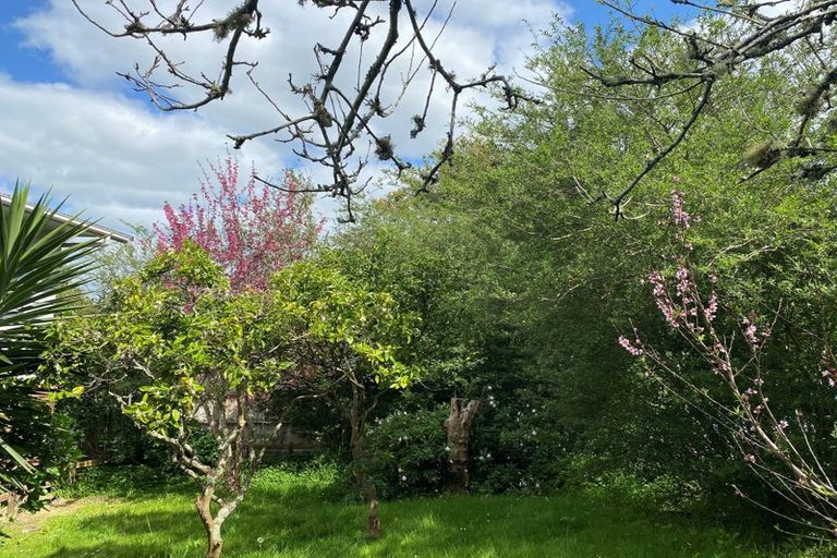 Photo of property in 74 Arcus Street, Raumanga, Whangarei, 0110