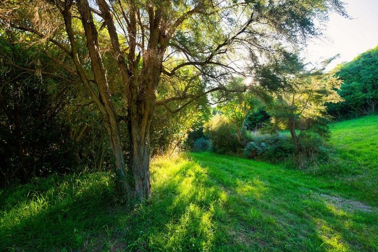 Photo of property in 759 Mount Fyffe Road, Kaikoura Flat, Kaikoura, 7371