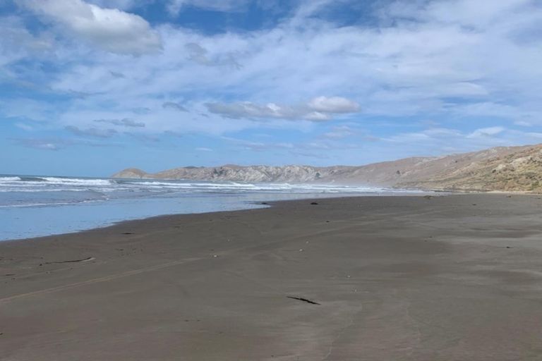 Photo of property in 919 Mangakuri Road, Elsthorpe, 4295