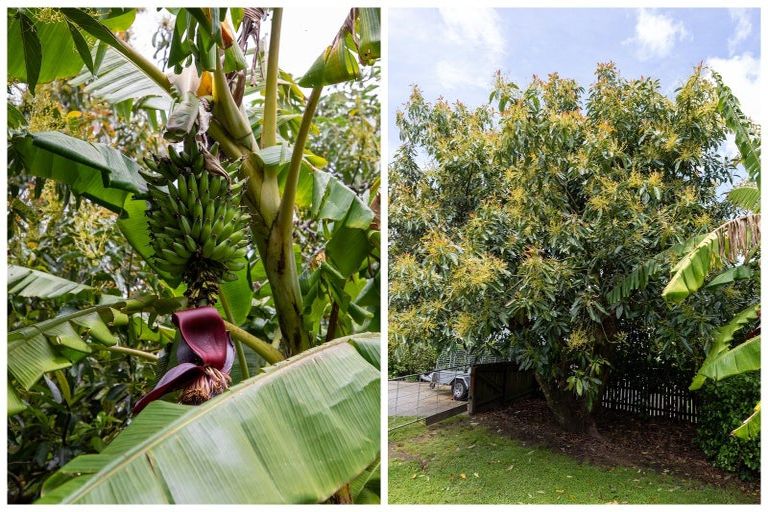 Photo of property in 73 Botanical Road, Tauranga South, Tauranga, 3112