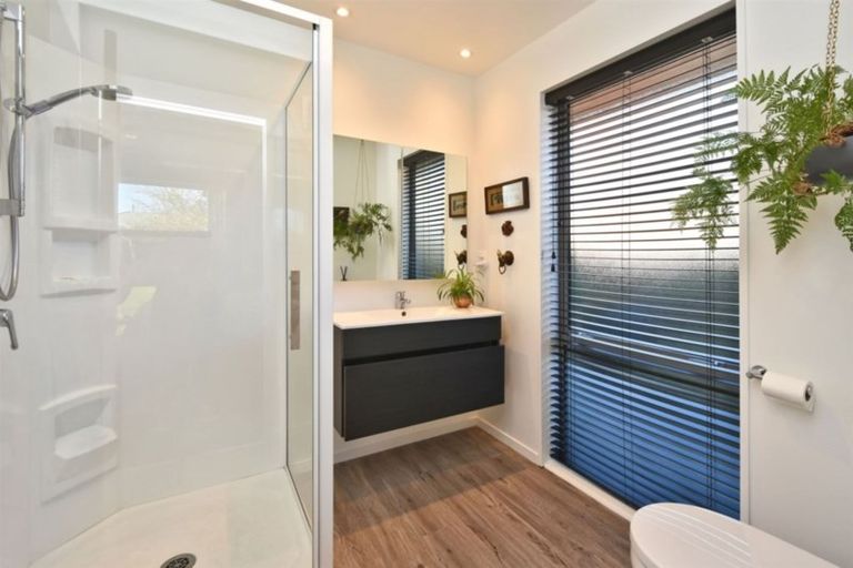 Photo of property in 7 Jameson Avenue, St Albans, Christchurch, 8052