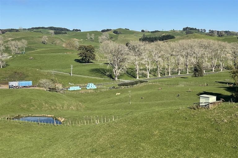 Photo of property in 80a Mangaotaki Road, Piopio, 3971