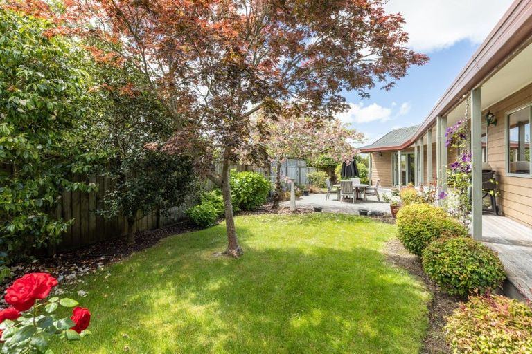 Photo of property in 46 Woodlands Drive, Havelock North, 4130