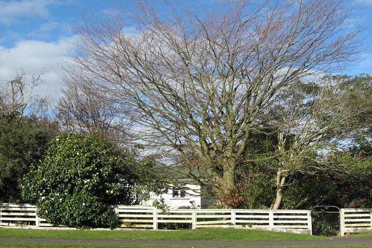 Photo of property in 87 Tutaenui Road, Marton, 4710