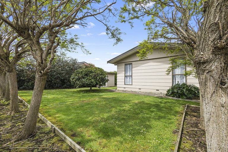 Photo of property in 49 Tower Road, Matamata, 3400