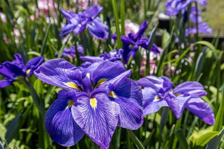 Photo of property in 90-92 Kiwi Road, Raumati Beach, Paraparaumu, 5032