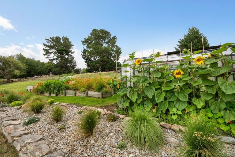 Photo of property in 113 Cambrian Road, Cambrians, Oturehua, 9386