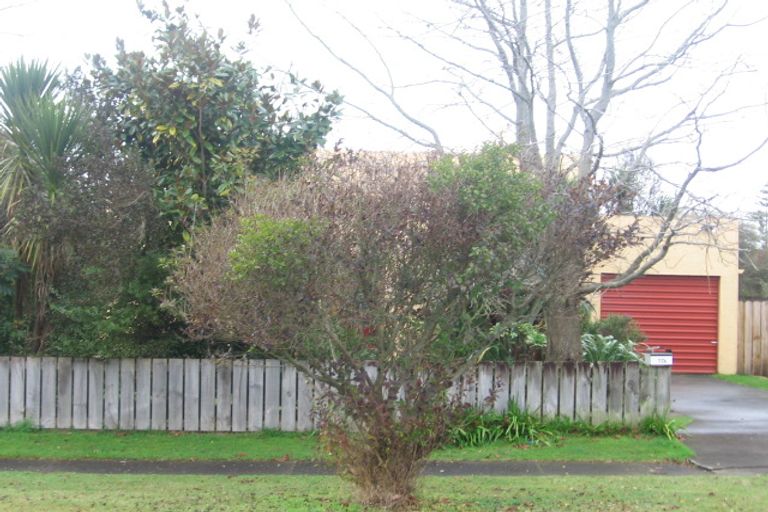 Photo of property in 17b Alexander Street, Papakura, 2110