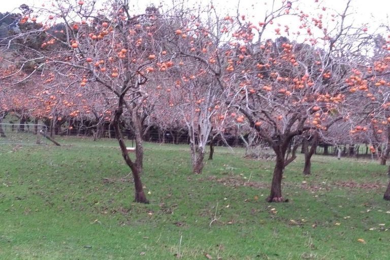 Photo of property in 1812 Kaipara Coast Highway, Kaukapakapa, 0984