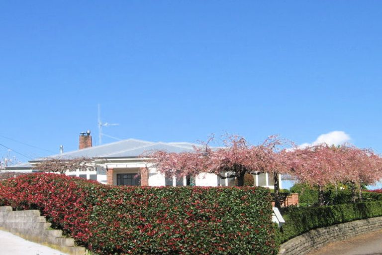 Photo of property in 44 Twentythird Avenue, Gate Pa, Tauranga, 3112