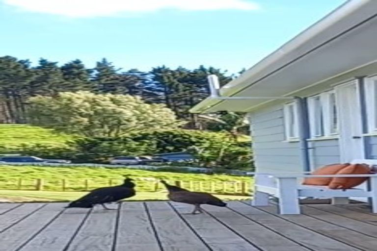 Photo of property in 1202 Wharehine Road, Port Albert, Wellsford, 0973