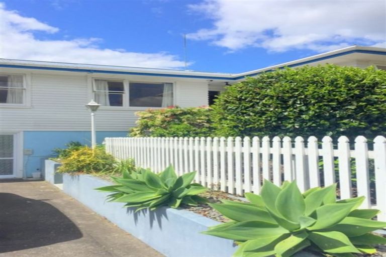Photo of property in 267a Chadwick Road, Gate Pa, Tauranga, 3112
