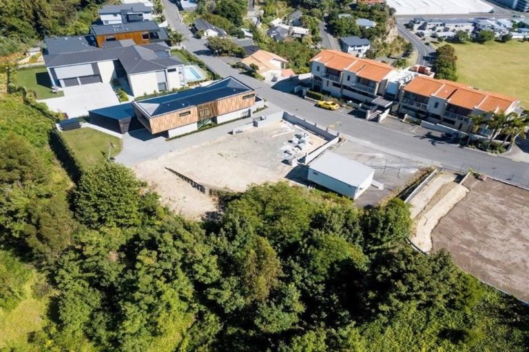 Photo of property in 19 Hospital Terrace, Hospital Hill, Napier, 4110