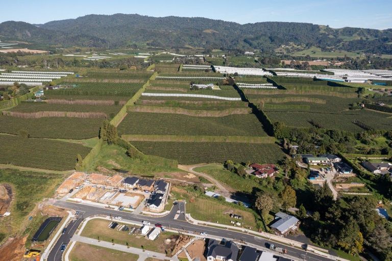 Photo of property in 81 Dunlop Road, Te Puke, 3119