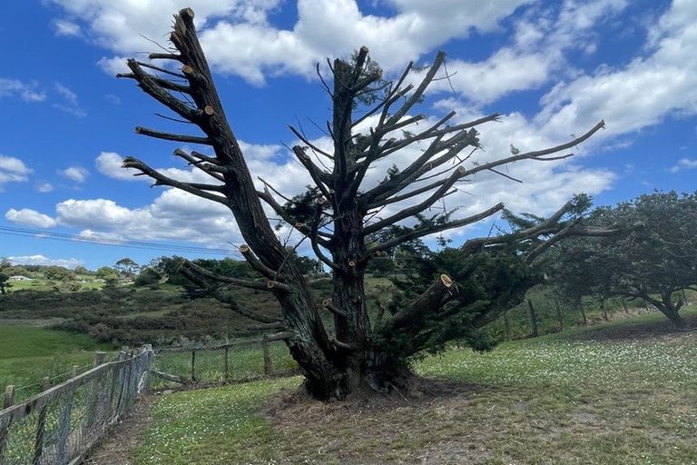 Photo of property in 106 Nixon Road, Taupaki, Henderson, 0782