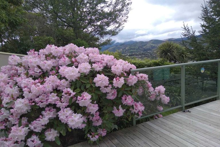 Photo of property in 2/179 Princes Drive, Britannia Heights, Nelson, 7010