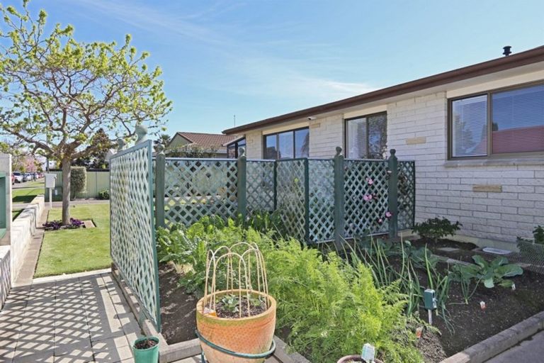 Photo of property in 1/403 Avenue Road West, Hastings, 4122