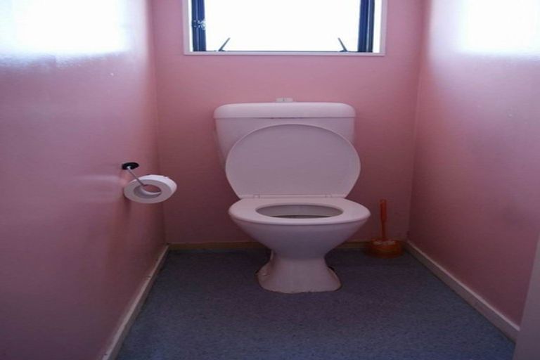 Photo of property in 77 Maplesden Drive, Clendon Park, Auckland, 2103