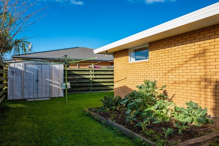 Photo of property in 24 Dillon Street, Blenheim, 7201