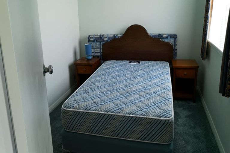 Photo of property in 139 The Ridgeway, Mornington, Wellington, 6021