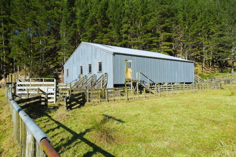 Photo of property in 1247 Wharekopae Road, Ngatapa, Gisborne, 4072