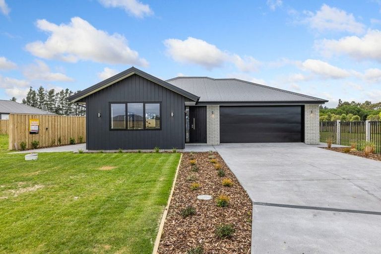 Photo of property in 49 Greig Crescent, Amberley, 7481