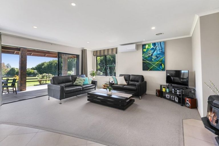 Photo of property in 565 Omanawa Road, Omanawa, Tauranga, 3171
