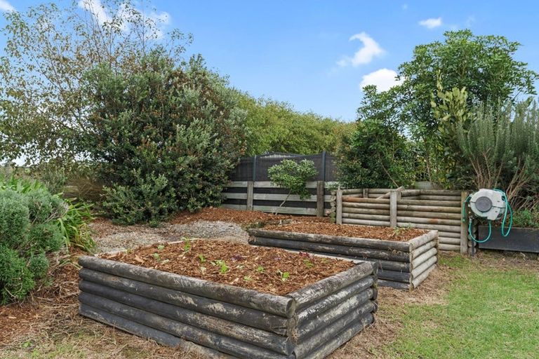 Photo of property in 137 Mangawhai Heads Road, Mangawhai Heads, Kaiwaka, 0573