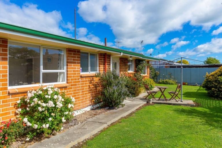 Photo of property in 17a Hale Street, Blenheim, 7201